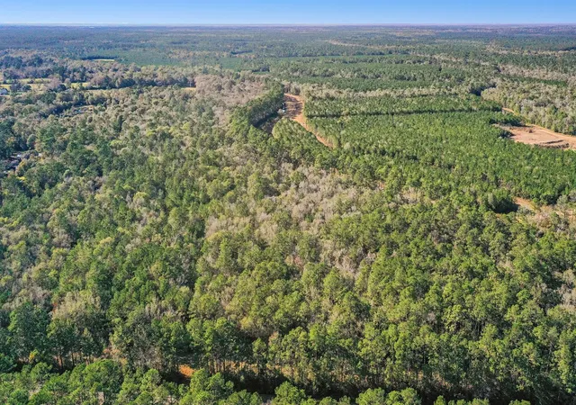 3rd image of Tbd Hwy 61, Hankamer, TX 77560 | MLS# 8964709