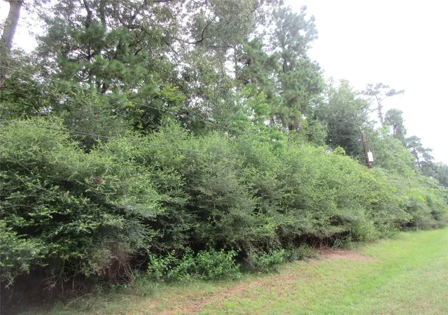 1st image of 412 414 Wagon Wheel Rd, Stagecoach, TX 77355 | MLS# 16080143