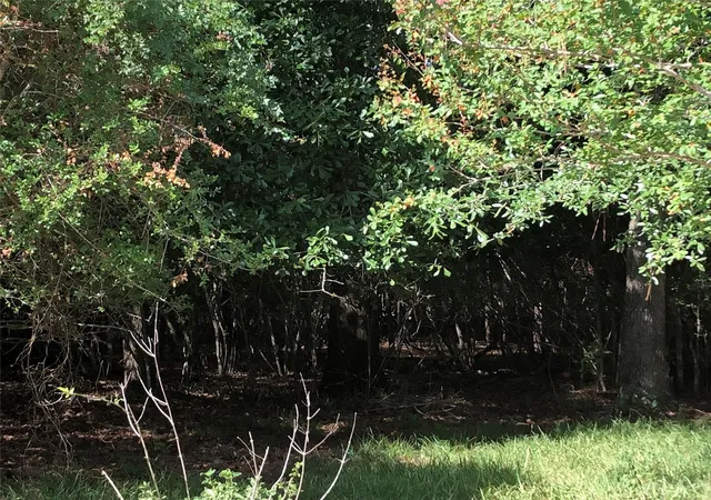 3rd image of 412-414 Wagon Wheel Rd, Stagecoach, TX 77355 | MLS# 16080143