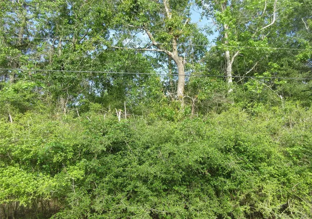 4th image of 412-414 Wagon Wheel Rd, Stagecoach, TX 77355 | MLS# 16080143