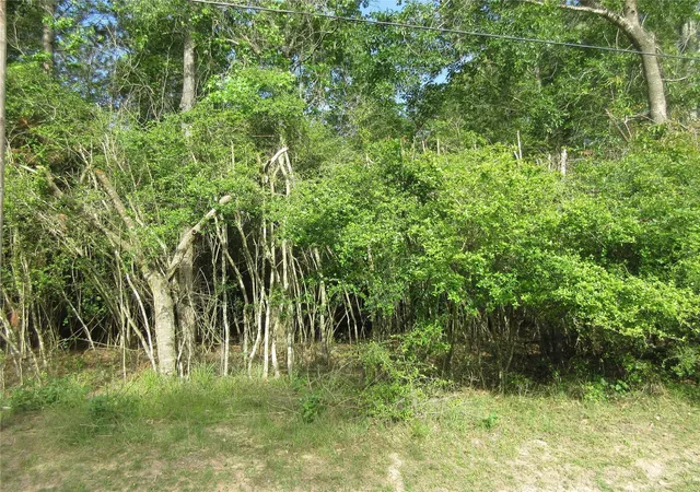 5th image of 412-414 Wagon Wheel Rd, Stagecoach, TX 77355 | MLS# 16080143