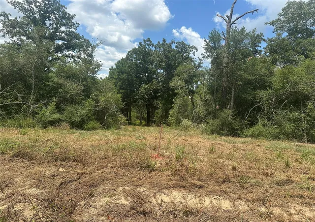 3rd image of 0 Tbd County Road 322, Jewett, TX 75846 | MLS# 4408503