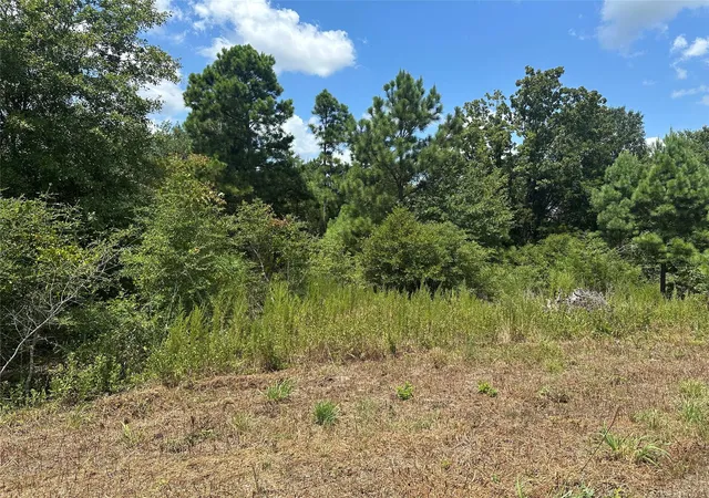 4th image of 0 Tbd County Road 322, Jewett, TX 75846 | MLS# 4408503