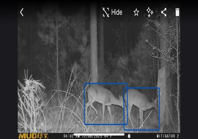 Photo 16 of Land for sale at 00 Timber Ranch Rd, Apple Springs, TX 75926 | MLS# 81717646 | Listing updated on 2026-08-21