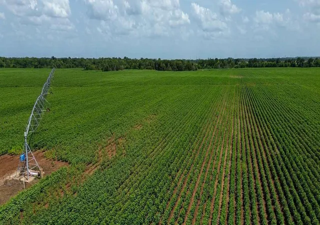 Photo 2 of Land for sale at 000 Sims Ln, Bryan, TX 77807 | MLS# 4546412 | Listing updated on 2026-08-12