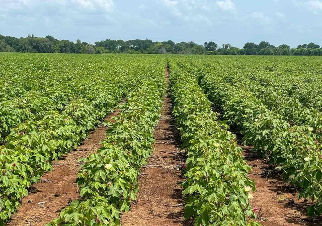 Photo 4 of Land for sale at 000 Sims Ln, Bryan, TX 77807 | MLS# 4546412 | Listing updated on 2026-08-12