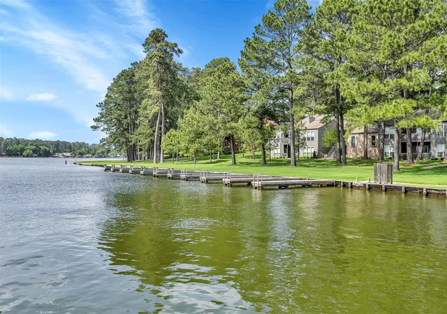 47th image of 13962 Dolphin Dr, Willis, TX 77318 | MLS# 67977264