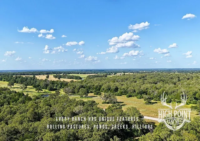 Photo 3 of Land for sale at Tbd Ranch Rd Off Cr 405 175 Acres, Lexington, TX 78947 | MLS# 65582118 | Listing updated on 2026-08-10