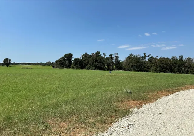 4th image of Lot 87 Horseshoe Lake Ranch, Marquez, TX 77865 | MLS# 57737356