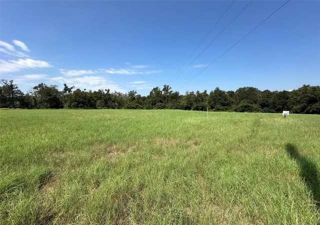 5th image of Lot 87 Horseshoe Lake Ranch, Marquez, TX 77865 | MLS# 57737356