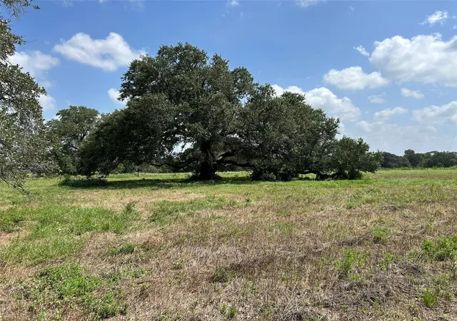 5th image of 1111 Ohnheiser Kaase Rd, Schulenburg, TX 78956 | MLS# 52157055