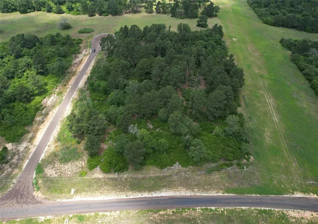 18th image of Tract 42 Private Road 1316, Centerville, TX 75833 | MLS# 71587210