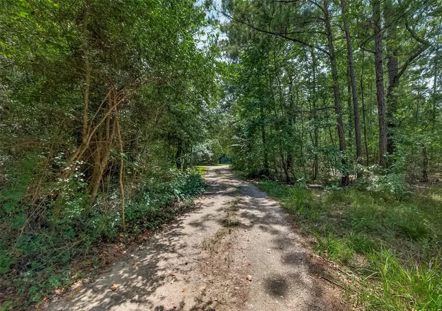 image of 14303 Lyric Rd, Conroe, TX 77302 | MLS# 63609604