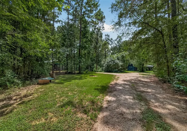 image of 14303 Lyric Rd, Conroe, TX 77302 | MLS# 63609604