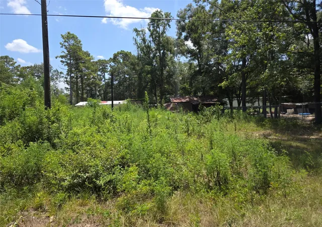 2nd image of 19340 Old Coffin Rd, Conroe, TX 77302 | MLS# 44409700