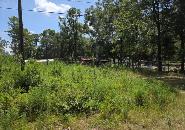 3rd image of 19340 Old Coffin Rd, Conroe, TX 77302 | MLS# 44409700