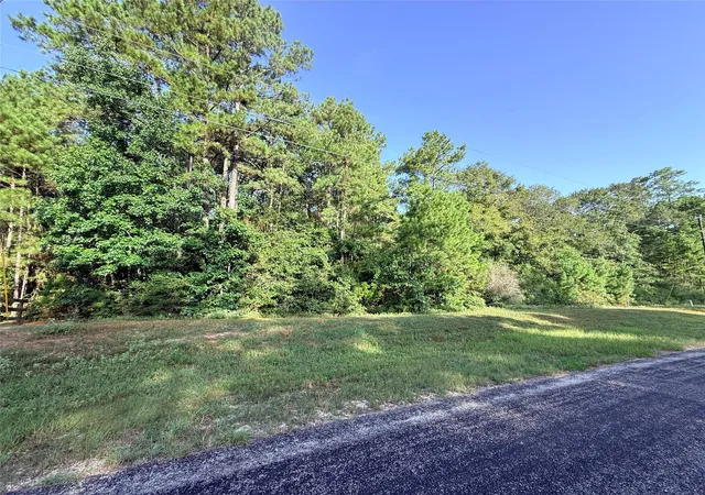 4th image of 177 Sundog Rd, Huntsville, TX 77340 | MLS# 68957450