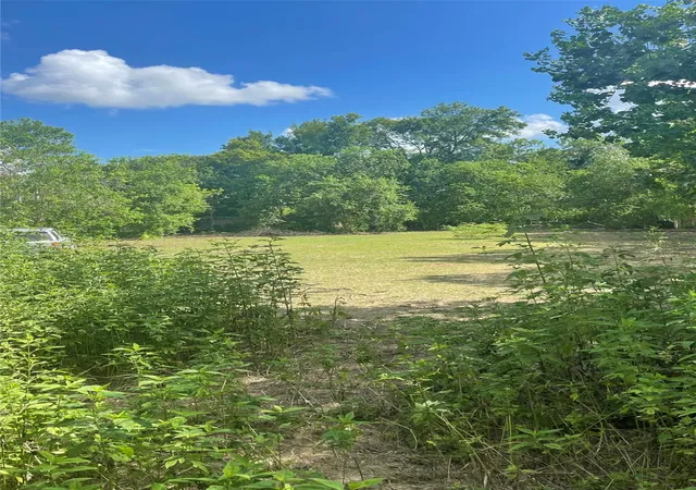 3rd image of 4906 Lincolnshire Rd, Houston, TX 77048 | MLS# 66823522