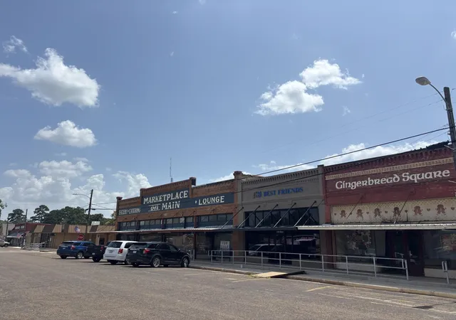 11th image of 0 E State Hwy 294, Grapeland, TX 75844 | MLS# 32652399
