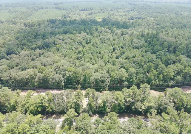 2nd image of 0 E State Hwy 294, Grapeland, TX 75844 | MLS# 32652399