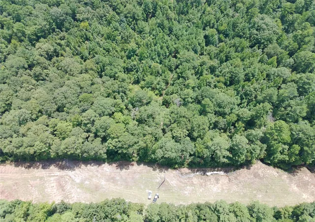 3rd image of 0 E State Hwy 294, Grapeland, TX 75844 | MLS# 32652399