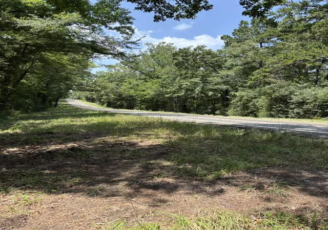 4th image of 0 E State Hwy 294, Grapeland, TX 75844 | MLS# 32652399
