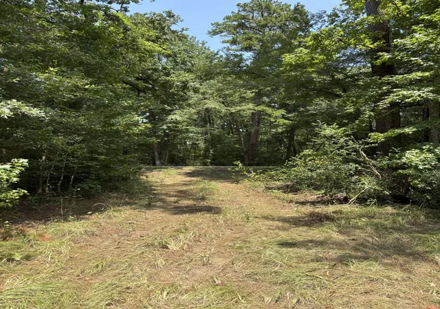 5th image of 0 E State Hwy 294, Grapeland, TX 75844 | MLS# 32652399