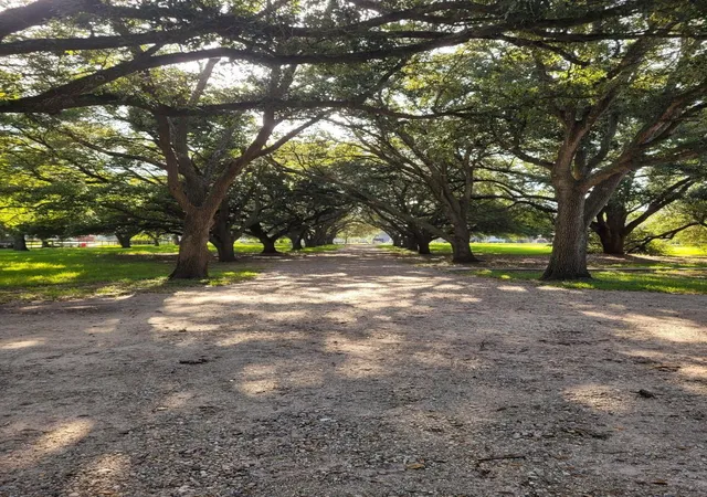 47th image of 5606 Highland Rd, Santa Fe, TX 77517 | MLS# 96169649