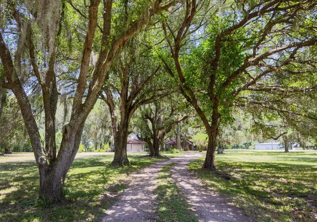 3rd image of 21802 Lake View Rd, Damon, TX 77430 | MLS# 28417308