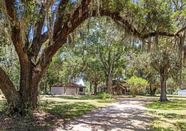 4th image of 21802 Lake View Rd, Damon, TX 77430 | MLS# 28417308