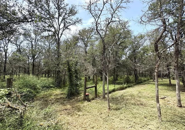 15th image of 153 Carissa Ln, Red Rock, TX 78662 | MLS# 97506233
