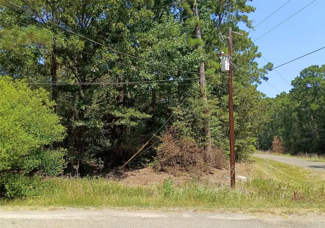 Photo 3 of Land for sale at 110 Pine Point Cir, Onalaska, TX 77360 | MLS# 53697356 | Listing updated on 2026-08-11