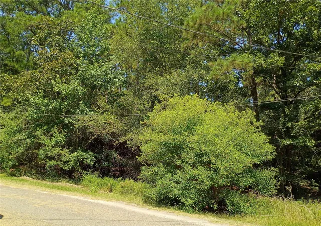 Photo 3 of Land for sale at 110 Pine Point Cir, Onalaska, TX 77360 | MLS# 53697356 | Listing updated on 2026-08-11