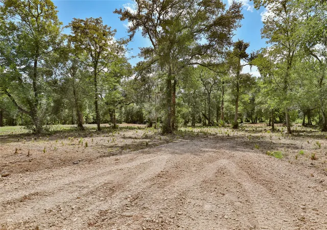 Photo 2 of Land for sale at 2301 Cr 851, Brazoria, TX 77422 | MLS# 14414566 | Listing updated on 2026-08-13