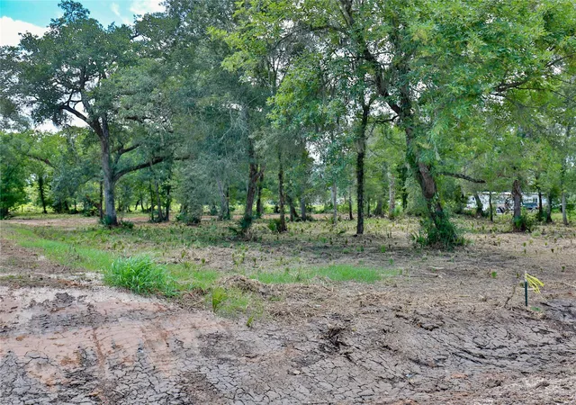 Photo 3 of Land for sale at 2301 Cr 851, Brazoria, TX 77422 | MLS# 14414566 | Listing updated on 2026-08-13