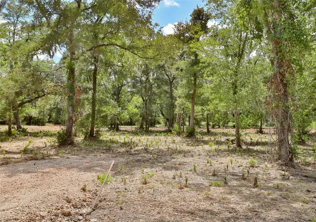 Photo 3 of Land for sale at 2301 Cr 851, Brazoria, TX 77422 | MLS# 14414566 | Listing updated on 2026-08-13