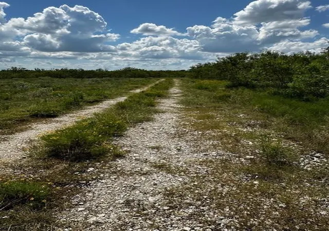 1st image of Tr 2 Private Road, Waelder, TX 78959 | MLS# 94857851