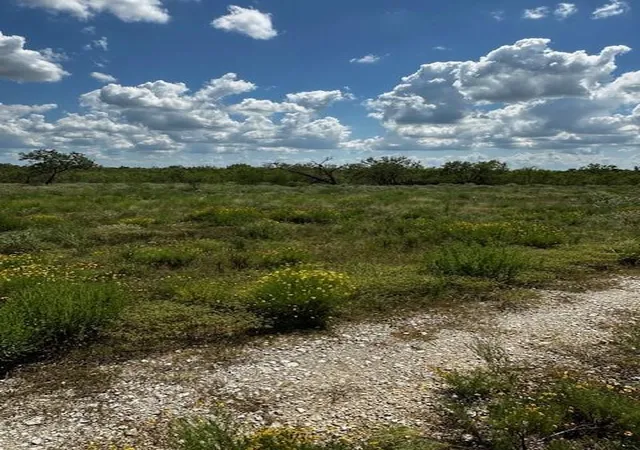 2nd image of Tr 2 Private Road, Waelder, TX 78959 | MLS# 94857851