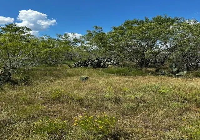 Photo 3 of Land for sale at Tr 11 Private Rd, Waelder, TX 78959 | MLS# 94857851 | Listing updated on 2026-08-11