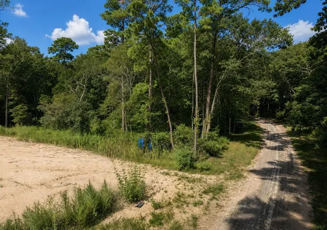 3rd image of 16383 Largent Dr, Plantersville, TX 77363 | MLS# 62298949