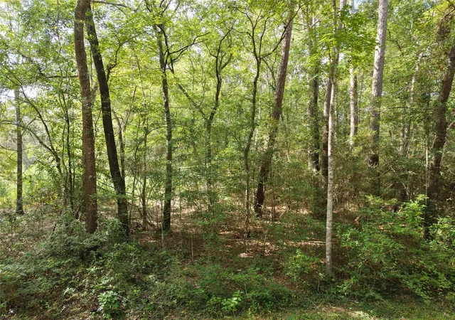 4th image of 16383 Largent Dr, Plantersville, TX 77363 | MLS# 62298949