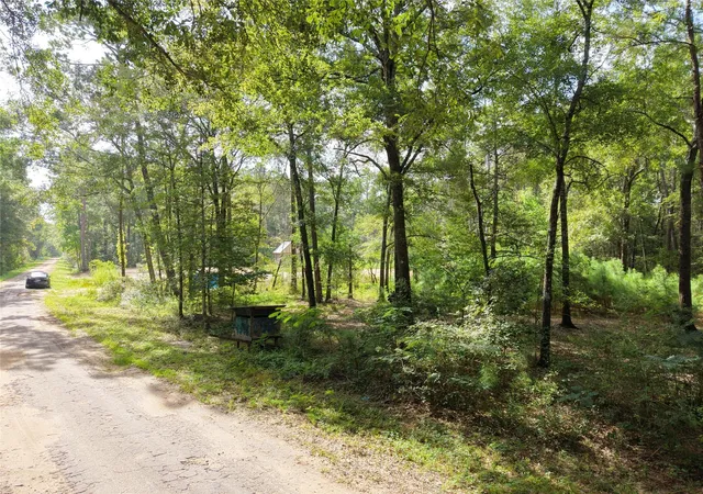 5th image of 16383 Largent Dr, Plantersville, TX 77363 | MLS# 62298949