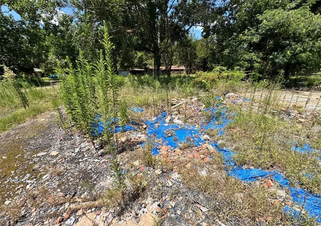 image of 320 County Road 2031, Nacogdoches, TX 75961 | MLS# 94541147