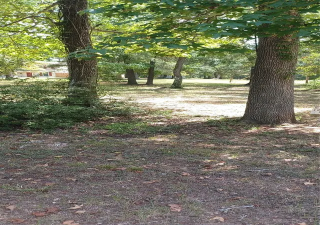 4th image of 257 Hollow Oak, Livingston, TX 77351 | MLS# 93716665