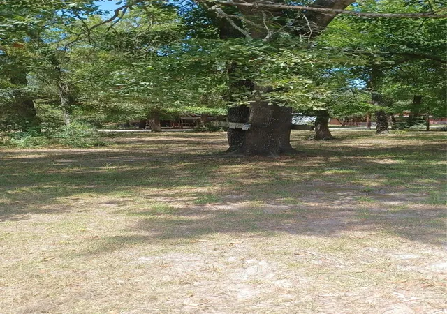 5th image of 257 Hollow Oak, Livingston, TX 77351 | MLS# 93716665