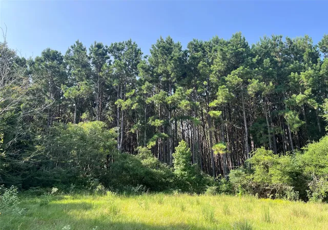 13th image of Na Cr 320, Centerville, TX 75833 | MLS# 33763528