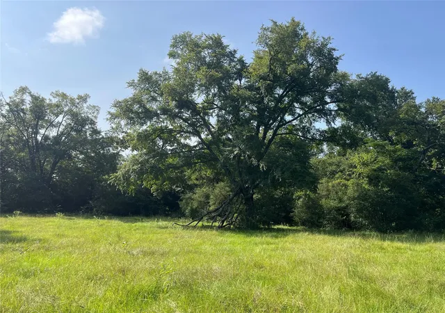 4th image of Na Cr 320, Centerville, TX 75833 | MLS# 33763528