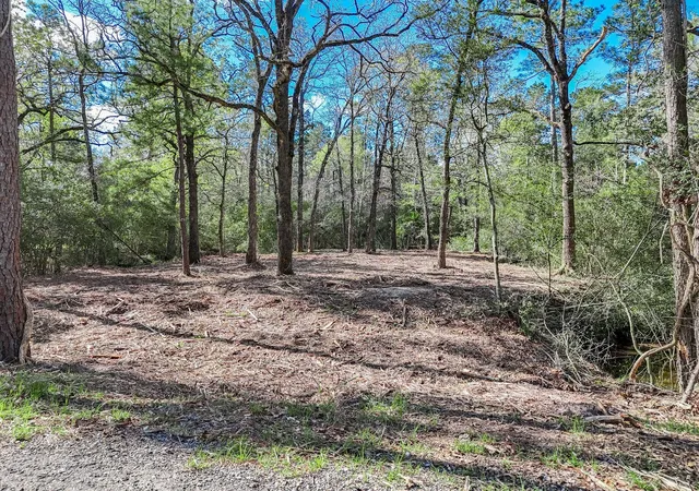 2nd image of 0 Nottingham Circle, Hockley, TX 77447 | MLS# 29946093