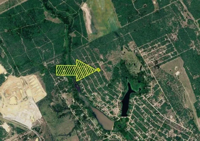 Photo 3 of Land for sale at 0 Fir Dr, Caldwell, TX 77836 | MLS# 61322977 | Listing updated on 2026-08-21