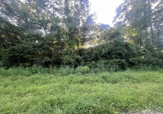 Photo 1 of Land for sale at Royal Crk Rd, Conroe, TX 77303 | MLS# 48625846 | Listing updated on 2026-08-11